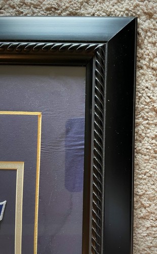 Tom Brady & Tedy Bruschi New England Patriots Legends Framed NFL Licensed Photo - Picture 6 of 7