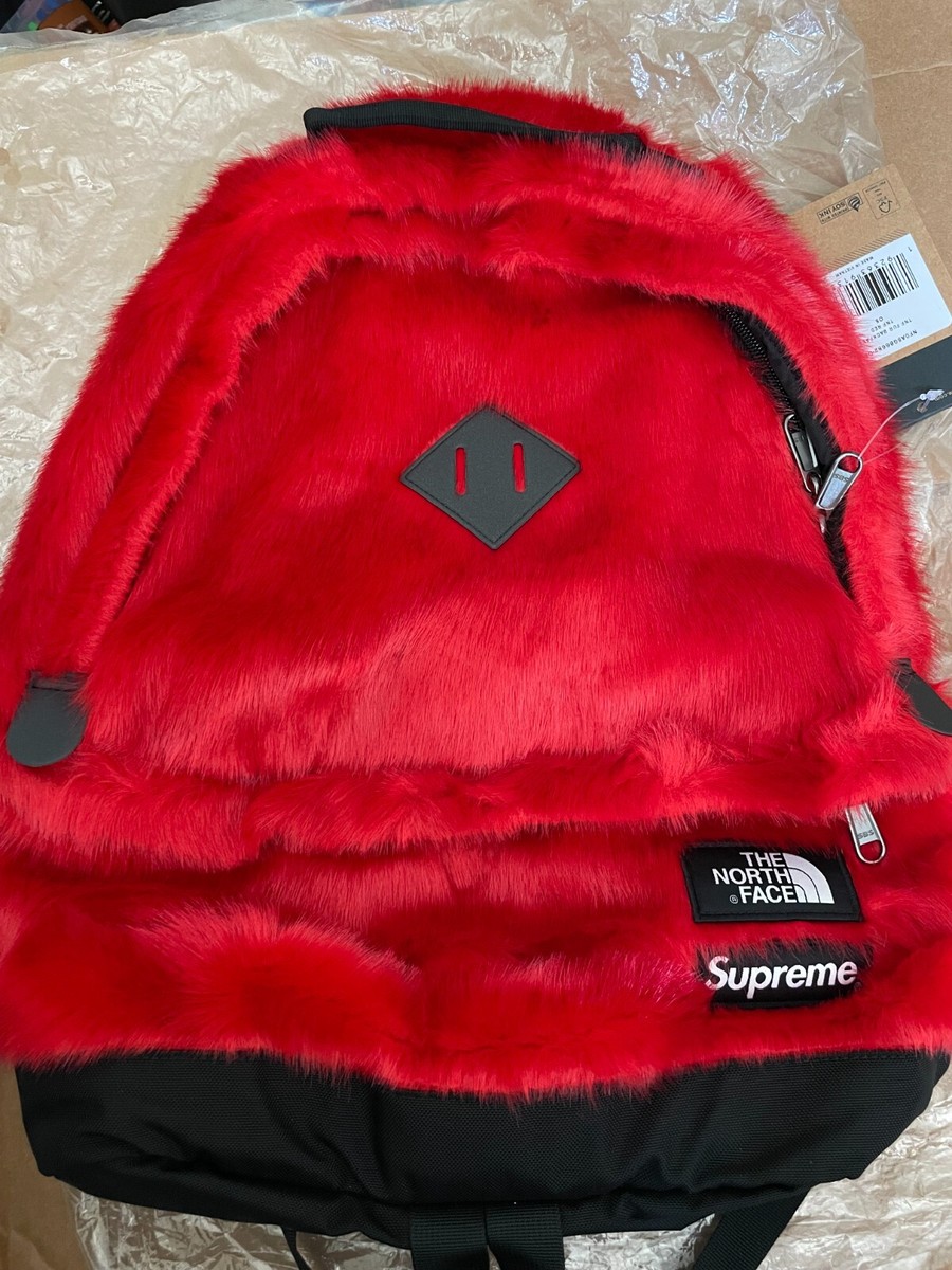 Supreme×Northface backpack $_57.JPG?set_id=880000500F