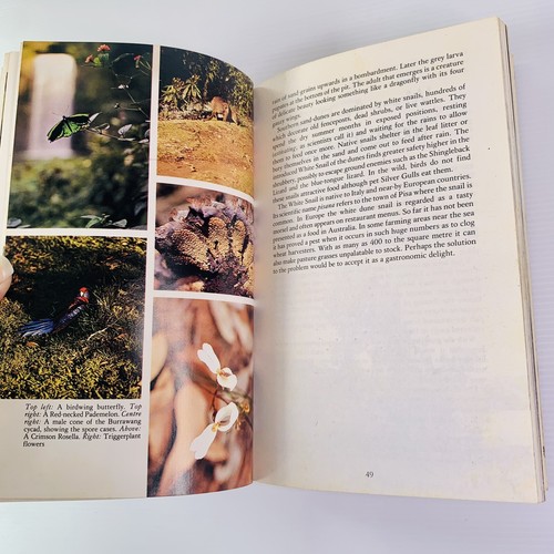 Glovebox Guide to Australian Nature by Vincent Serventy 1980 Natural History - Picture 10 of 12