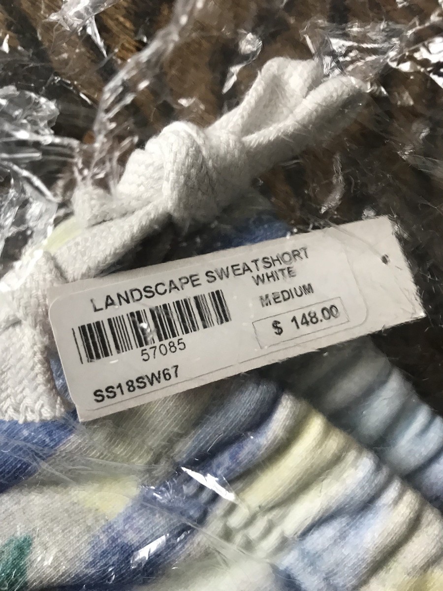 Supreme Landscape Sweatshorts Medium Authentic Multicolor *in Hand