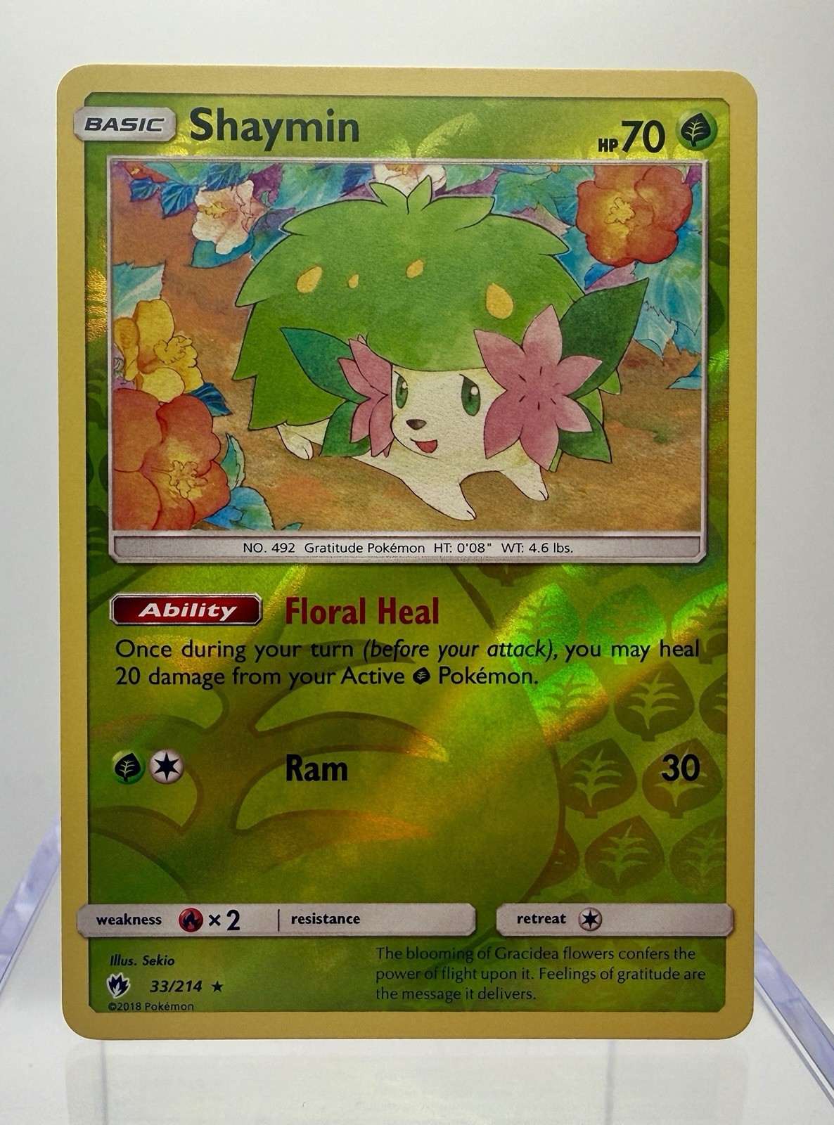 Shaymin 33/214 Holo R Lost Thunder Pokemon Reverse Holo NM/M