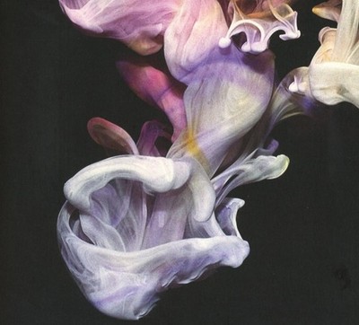Simian Mobile Disco - Murmurations - Vinyl LP -Download Code - Techno/House/Acid