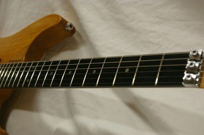 Washburn N4E-SANM Electric Guitar | eBay