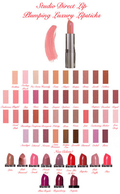 STUDIO DIRECT PROFESSIONAL LUXURY LIP PLUMPING LIPSTICKS FULL SIZE NEW USA