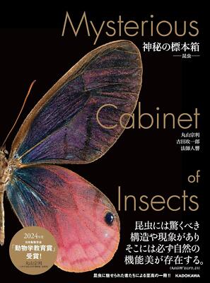 Book Mysterious Specimen Box - Insects Japanese Munetoshi Maruyama Large book