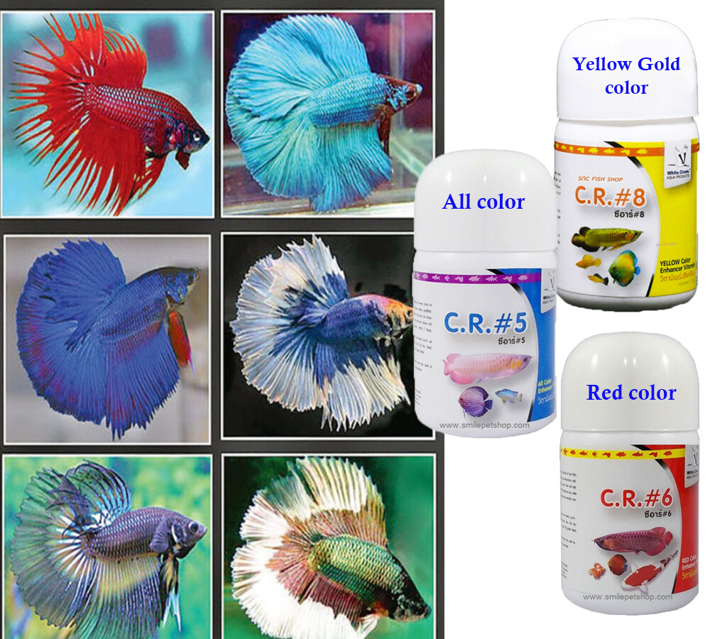 WHITE CRANE Fish Food Vitamins to accelerate fish color 10 g. eBay