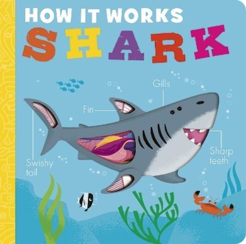 Molly Littleboy How it Works: Shark (Libro di cartone) How it Works