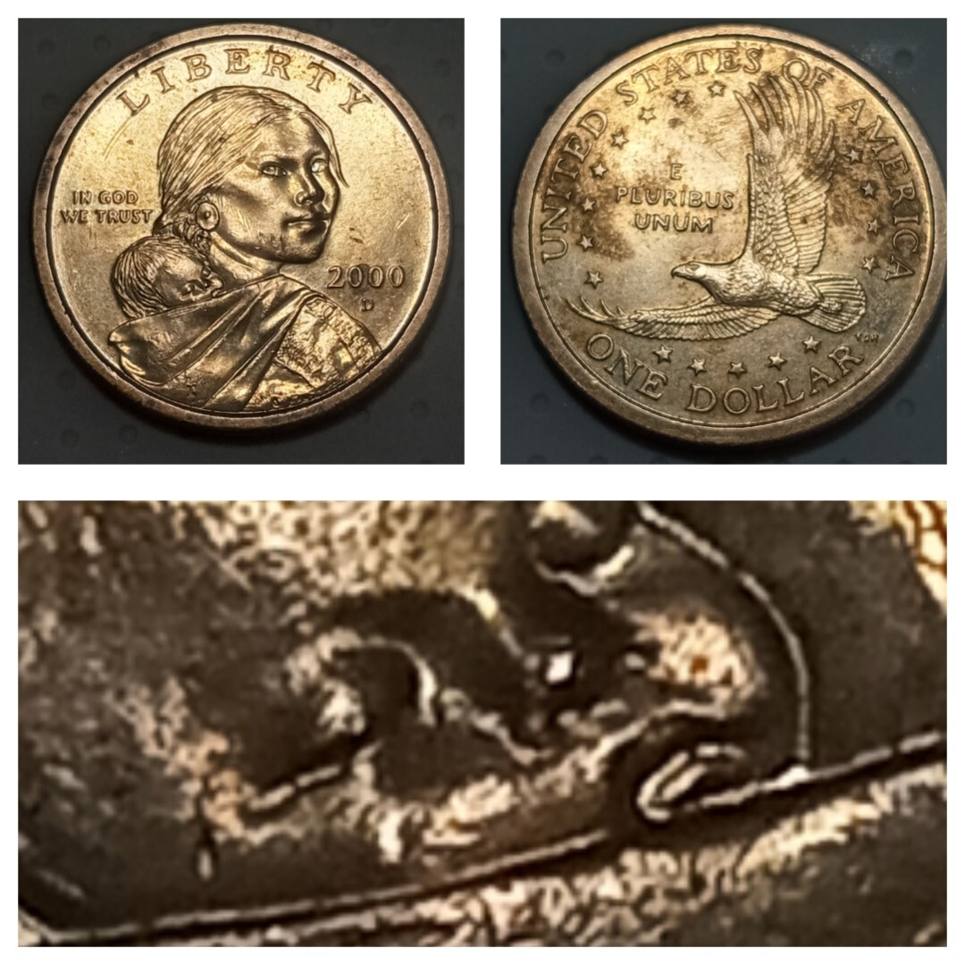 2000 sacagawea dollar D Crying Baby | eBay