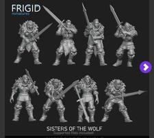 Viking Wolf Sisters Tabletop Miniatures X10 28mm Fantasy Infantry