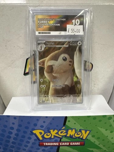 Pokémon TCG Furret 168/159 ACE 10 Gem Mint