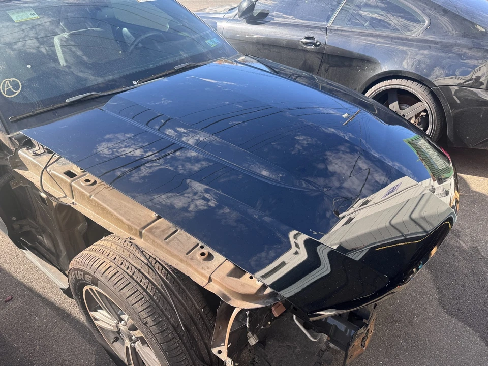 Ford Mustang GT 2012-2014 capó negro OEM camioneta local ¡solo! Foto 4 de 4