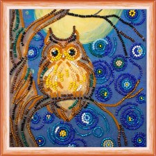 Bead Embroidery Kit "Midnight Owl" Beaded Stitching Beadwork