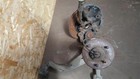 Bild 3 von 11