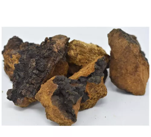2.08 pounds - Northern Minnesota CHAGA chunks -  PREMIUM MUSHROOM TEA ORGANIC