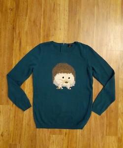 sweaters for hedgehogs