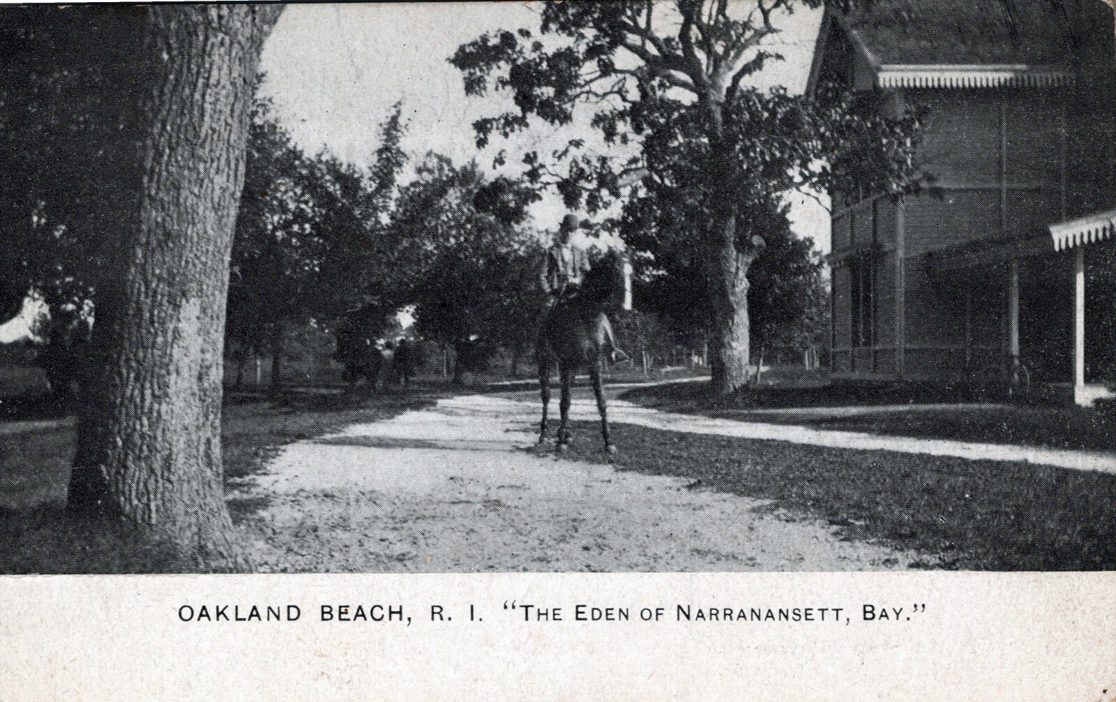 Oakland Beach, R.I. The Eden Of Narragansett Bay. Horse Rider, 1911 Postcard