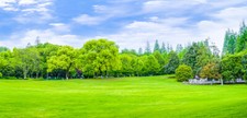 LB Vinyl Studio Backdrop Blue Sky Cloud Spring Garden Scenic Background 20x10ft