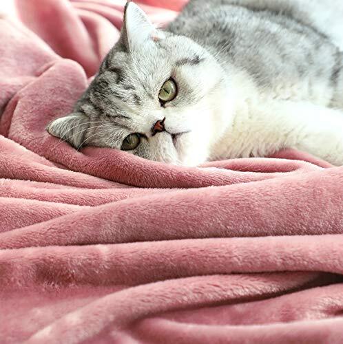 Pink Aesthetic Pink Cat Blanket Large Flannel Fleece Throw Blanket
