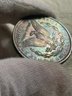 1894-O SILVER MORGAN DOLLAR - RAINBOW TONED ~ NO RESERVE — photo 6