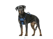 BARKBAY No Pull Dog Harness XLarge Reflective Dog Harness with Front Clip
