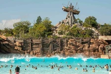 Disney World Water Park Tickets