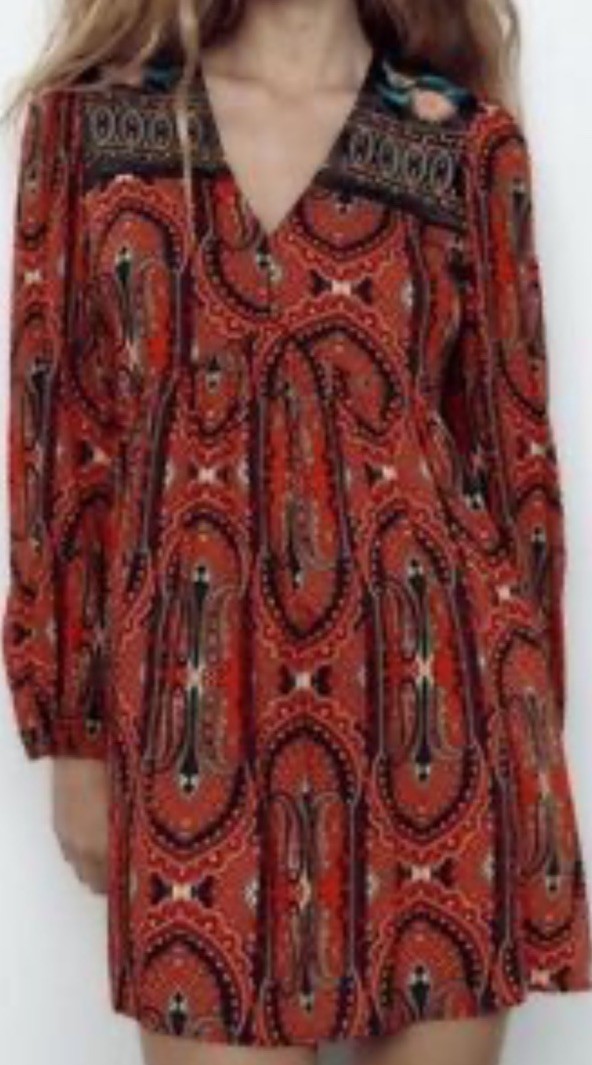 Zara embroidered Devore Floral Velvet Burnout Mini Dress Whimsigoth Witchy L thumbnail 6