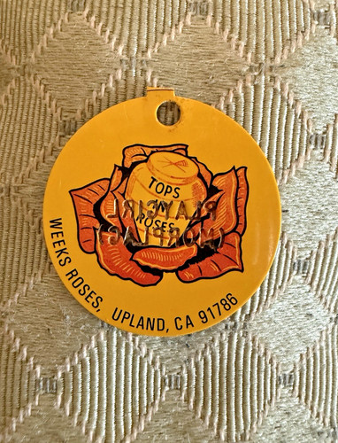 Vintage TOPS in Roses Metal Plant Tag Playgirl (Morplag) Weeks Upland CA