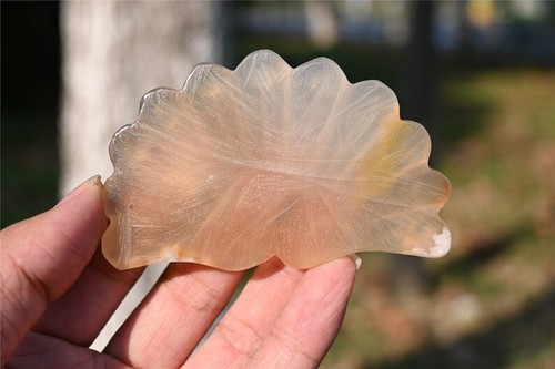 0.1kg Carved Sakura agate Peacock Natural Reiki Crystal Skull Decor Gift + Stand - Picture 9 of 10