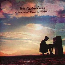 Bill Ryder-Jones A Bad Wind Blows In My Heart CD NEW