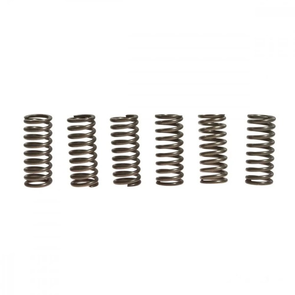 Kupplungsfeder VerstäRkt (6Stk) EBC CSK081 FüR Yamaha WR 250 X Bj. 2008-2011-image
