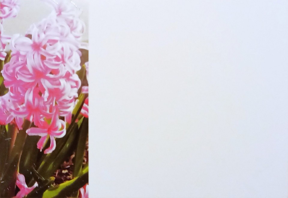 IN LOVING MEMORY/WITH DEEPEST SYMPATHY FLORIST FLOWERS MESSAGE CARDS