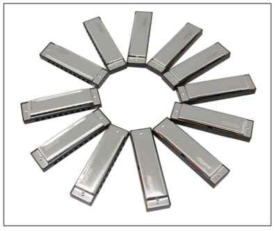 EASTTOP Diatonic Harmonica Set of 12 10Holes Blues Harmonica Lot Mouth Organ set