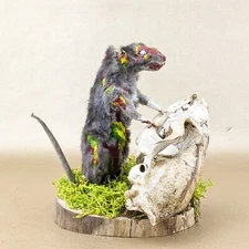 Rat Zombie Attack Horror Macabre Taxidermy Curiosities Oddities collectible gift