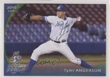 2017 Grandstand 2016-17 Hartford Yard Goats Tyler Anderson 2ra