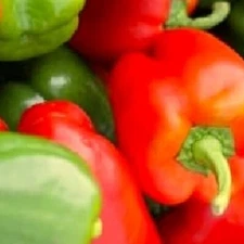 California Wonder Bell Pepper Seeds  | NON-GMO Pepper Seeds | Heirloom Seeds