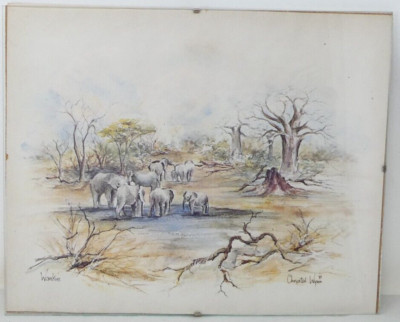Elefant Wildlife Scene Print Wankie / Hwange Chrystal Wynn African Art 1981
