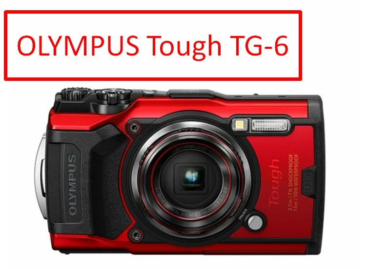 Olympus TG-6 レッド Olympus Tough TG-6 Adventure-Ready Compact Camera - Red