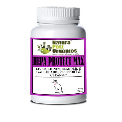 Organic Pet Systems Hepa Protect Max - Liver & Kidney Support for Cats