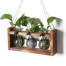 "Plant Propagation Station with Wooden Stand - Unique Home Office Decor Gift"