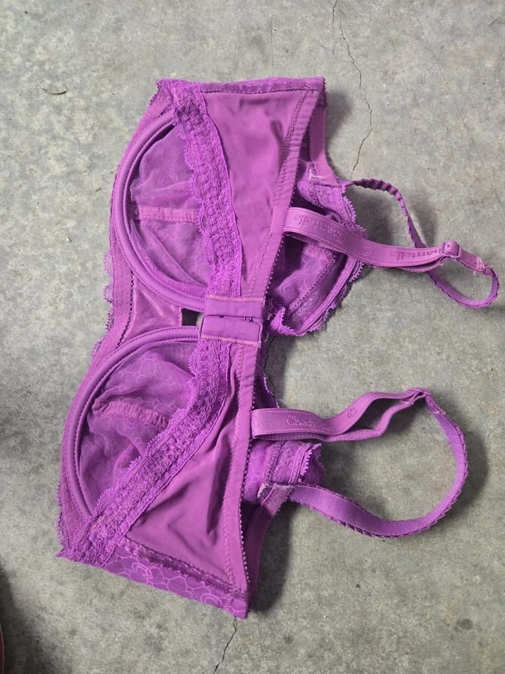 SUJETADOR CHANTELLE ESTRÁS BLING CON AROS TALLA 36DDD Foto 2 de 4