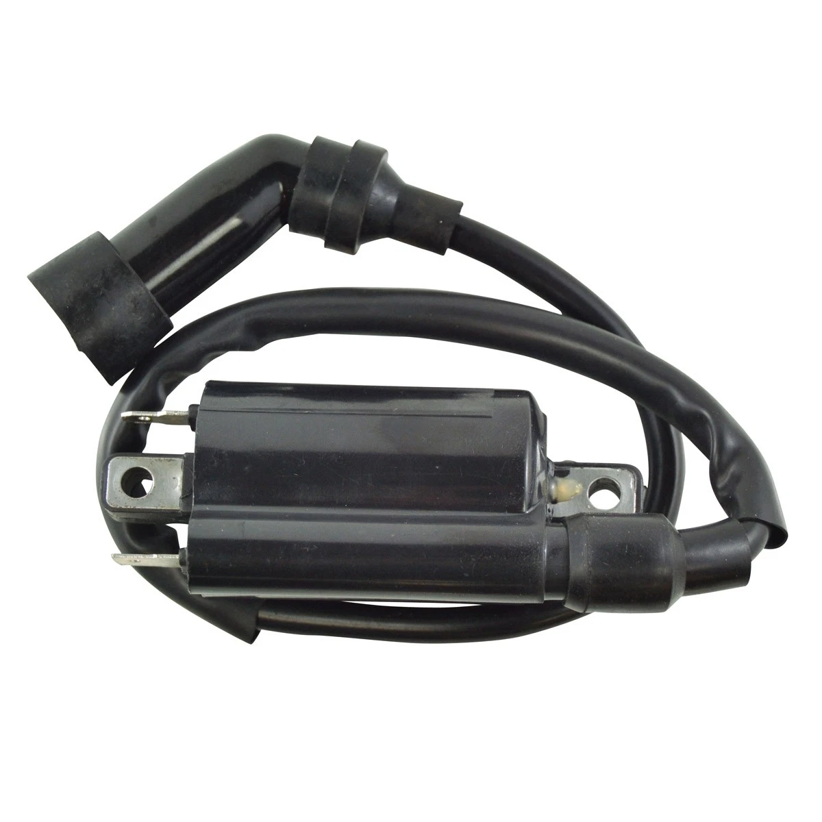 COIL ASSY, IGNITION