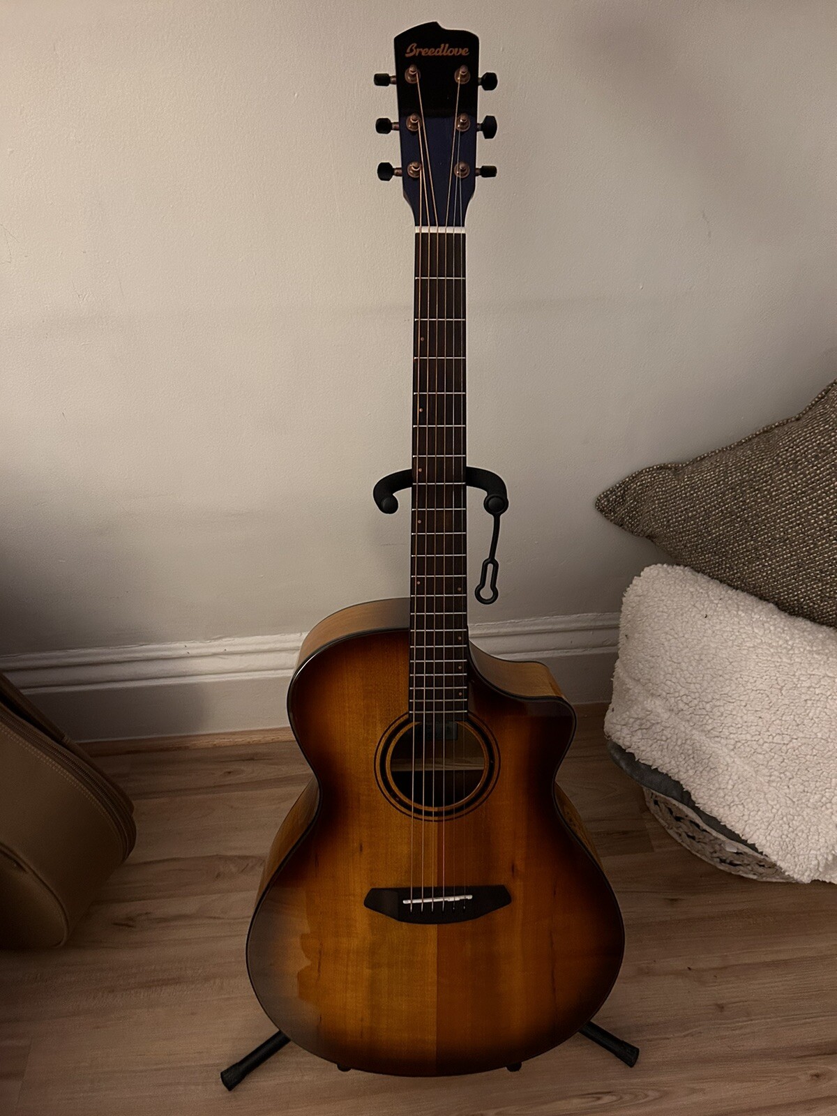 Breedlove ECO Pursuit Exotic S AcousticElectric Guitar eBay