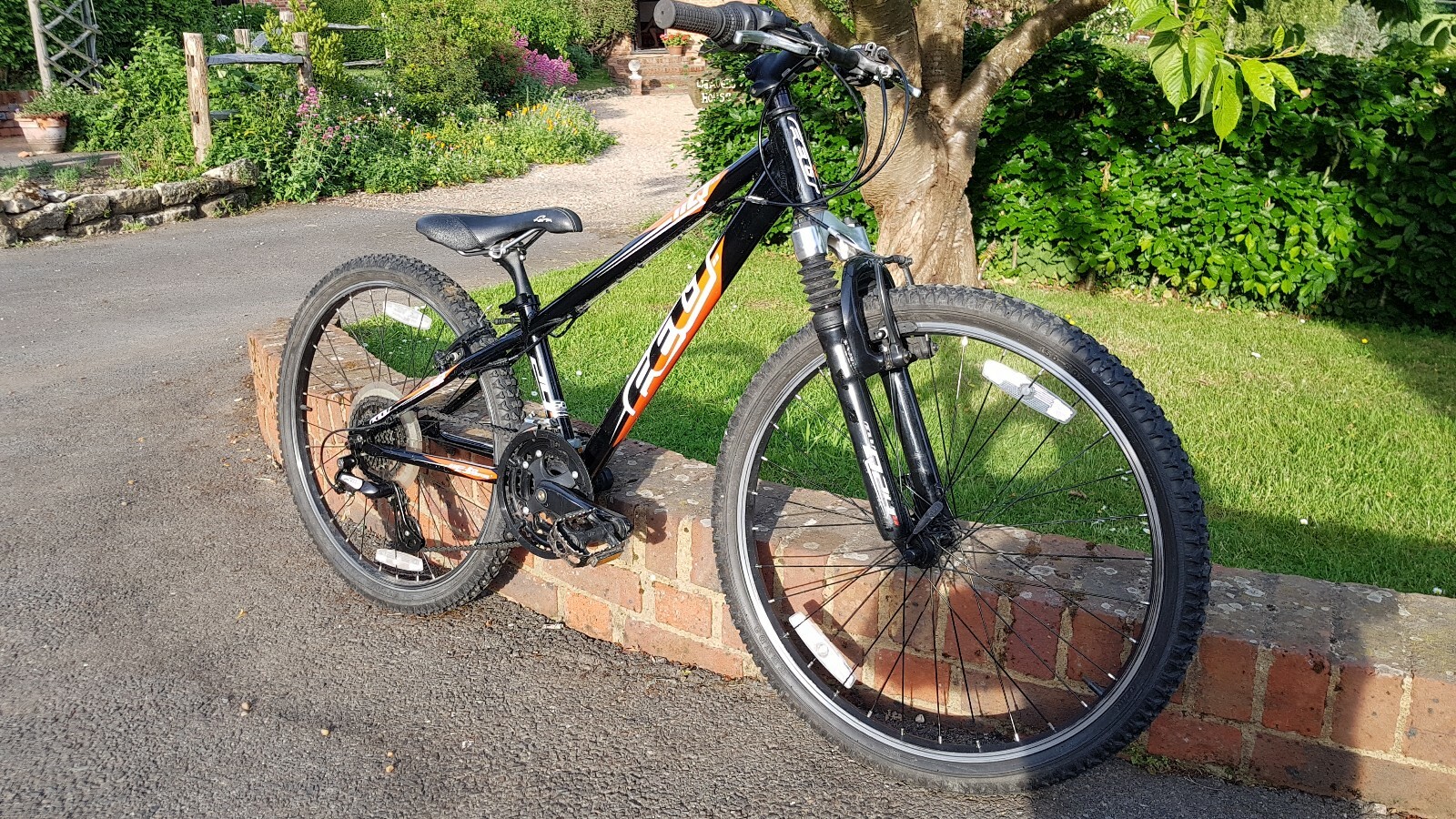 pacific evolution 24 inch boy's mountain bike