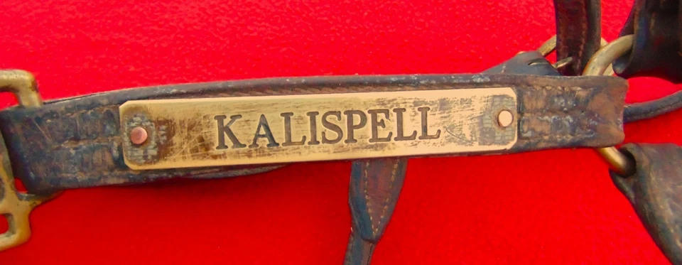 ANTIGUO 1920 "WALSH" CUERO Y LATÓN CUERO HALTER ~ CABALLO COMPLETO ~ TRIPLE PUNTADA Foto 3 de 4