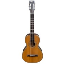 Vintage Viator Guitar