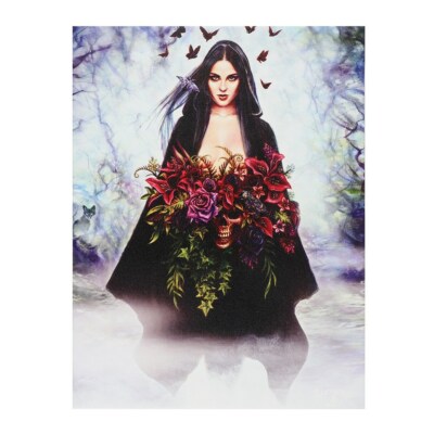 SEASONS OF THE WITCH ALCHEMY GOTHIC KLEINES LEINWAND BILD DRUCK SKULL ROTE ROSEN