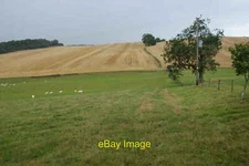 Photo 6x4 Fields by Manor Farm, Chartley Stowe-by-Chartley Mixed livestoc c2014
