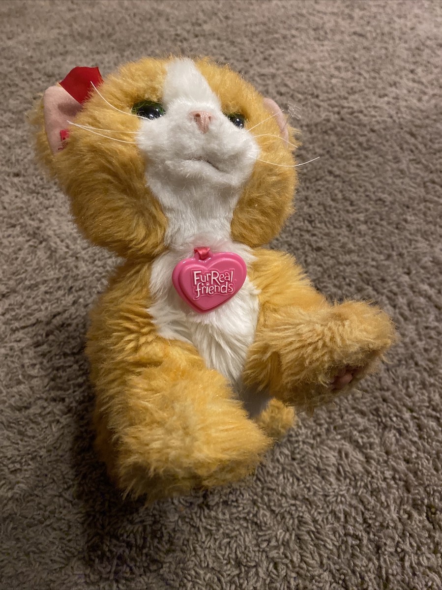 Hasbro FurReal Friends Daisy Plays With Me Kitty Cat Interactive 2012 A