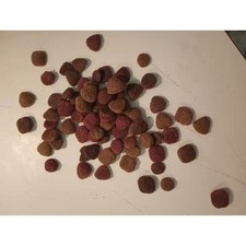 Roasted Chicken & Rice Dog Food 46lb, Complete Dry Nutrition for Adults 0.75 per pound