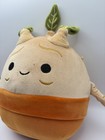 Harry Potter Squishmallows 8” Inch Screaming Mandrake Root Tree — photo 4